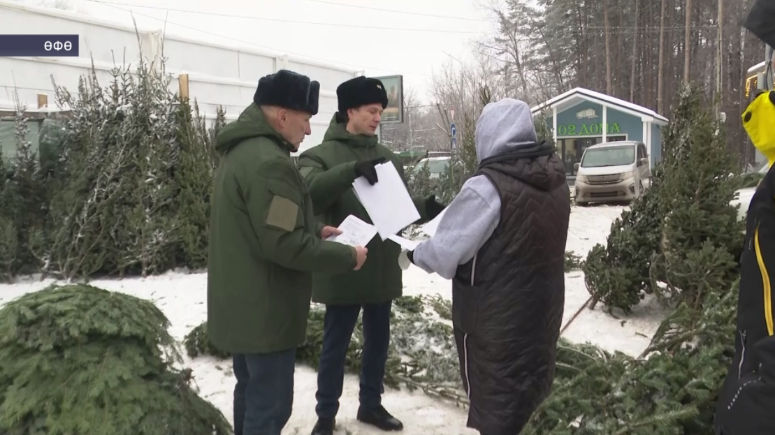 Башҡортостанда законһыҙ ылыҫлы ағастар һатыуға ҡаршы рейд уҙғарылды