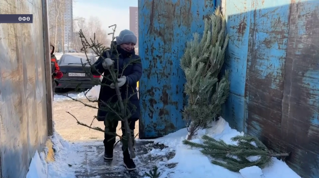 Өфөлә «Шыршыны -юнысҡыға» экологик акцияһы башланды