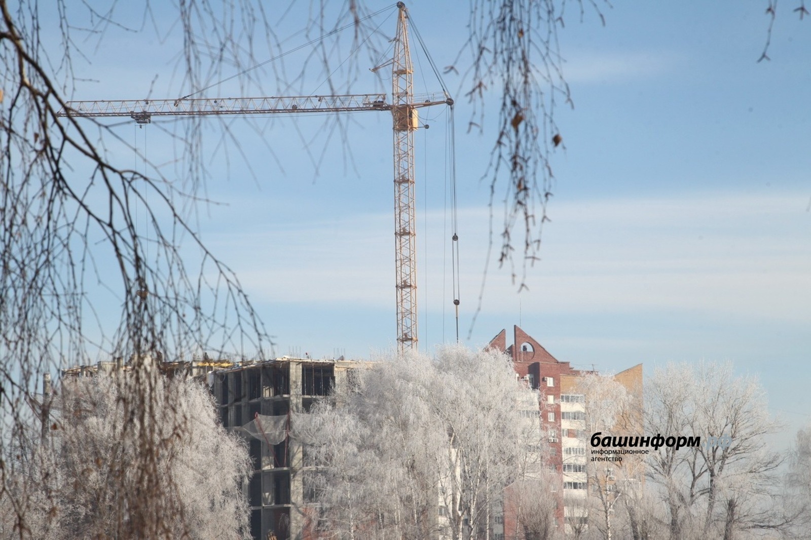 Башҡортостанда торлаҡҡа уртаса хаҡ билдәләнде