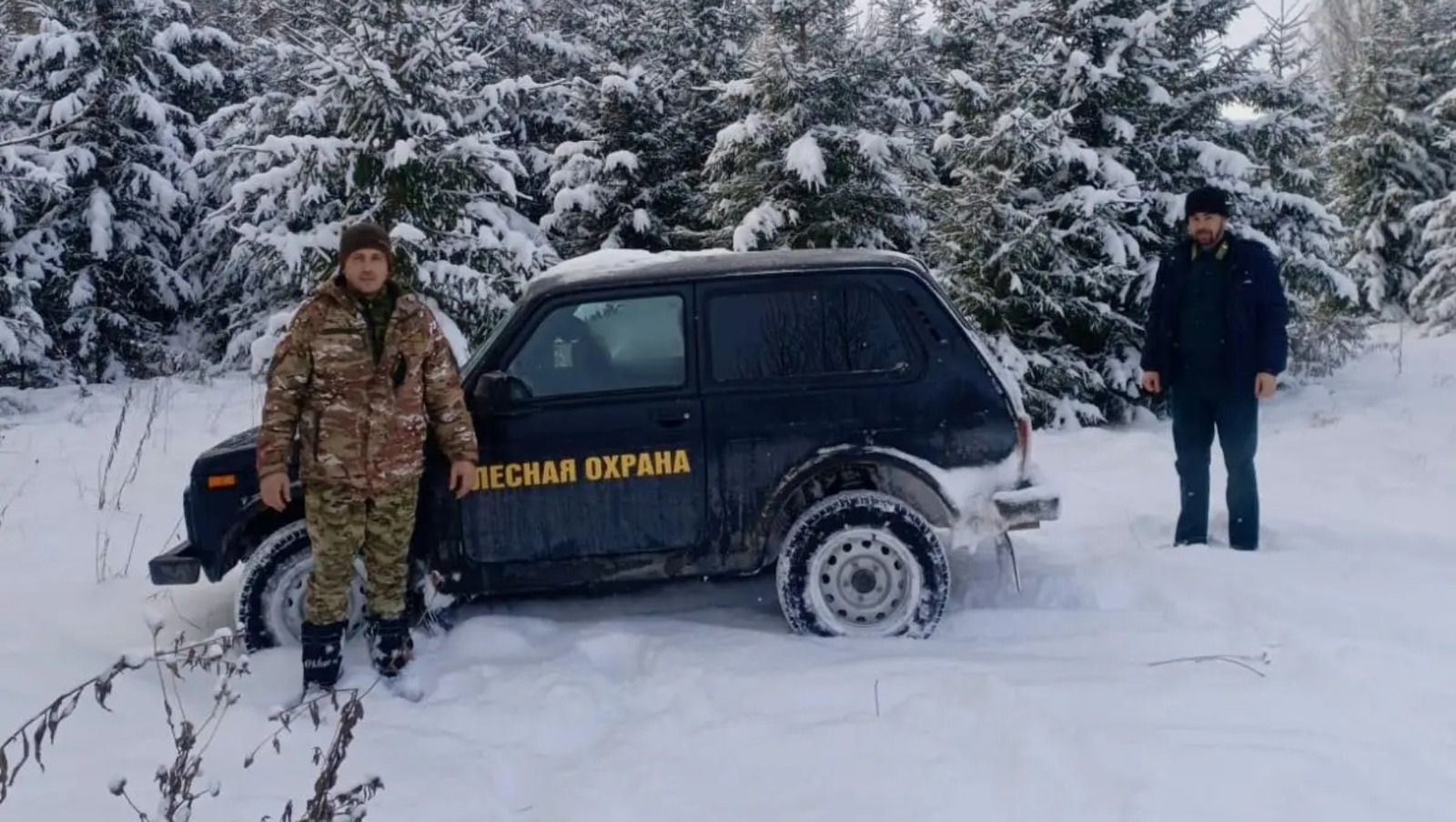 Башҡортостан урмандарына зыян килтереүселәр 7 миллион һумдан ашыу штраф түләй