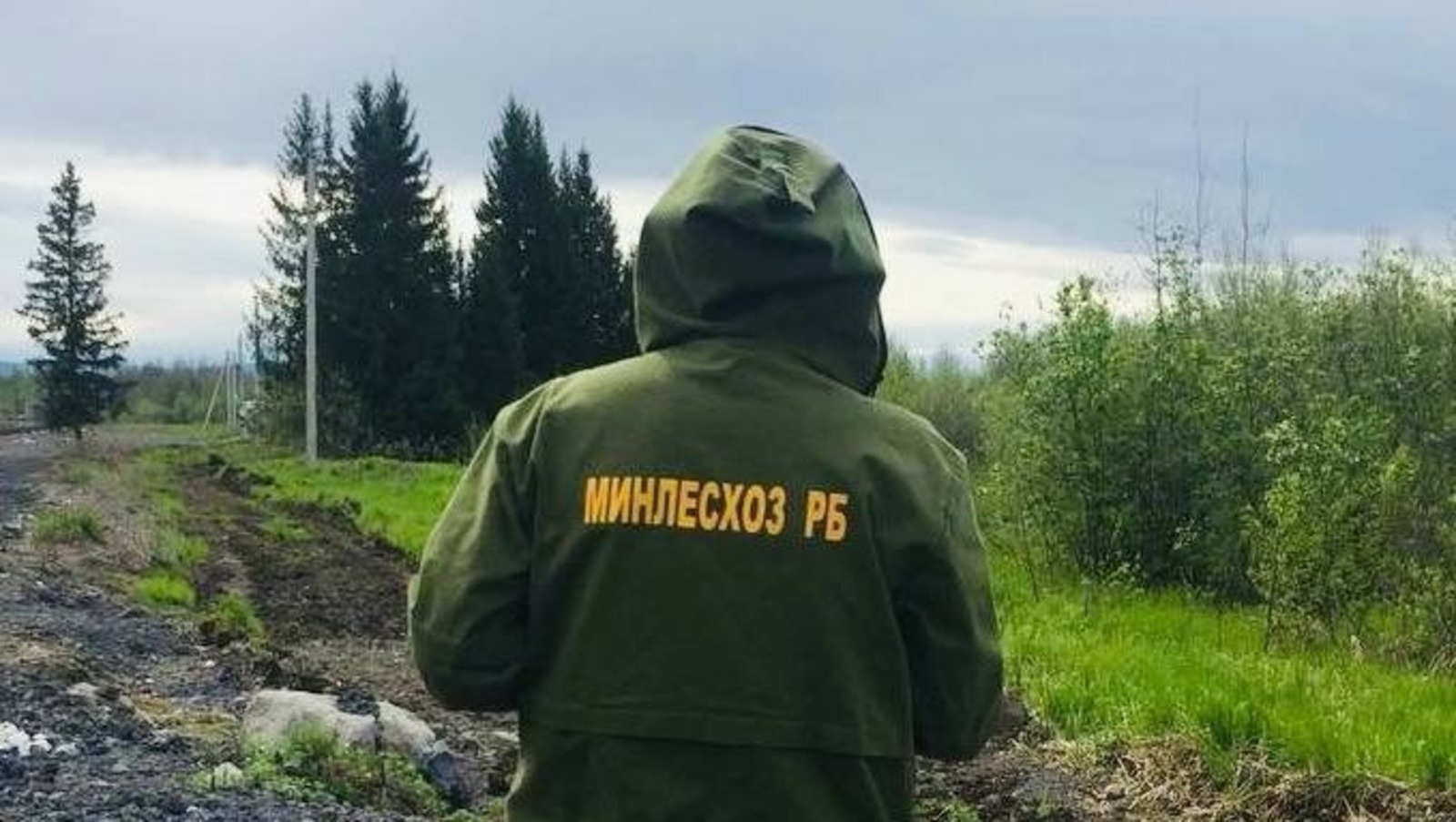 Башҡортостандың урман фонды 100 процентҡа йыһан күҙәтеүенә алынған