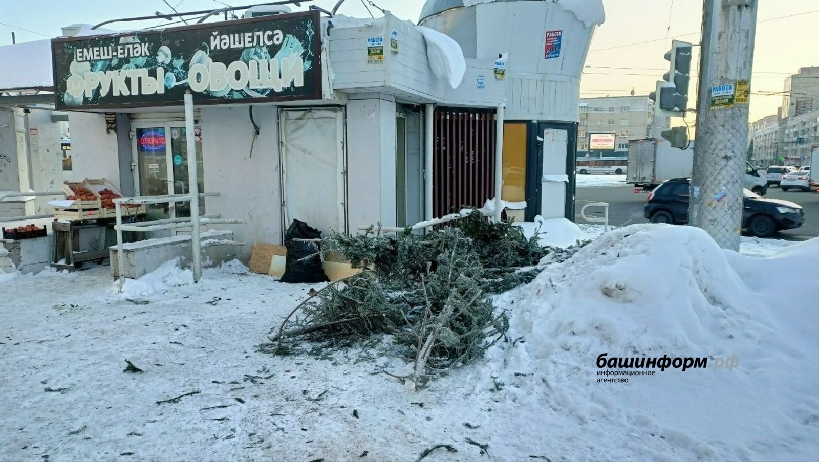Башҡортостан үҫенте ҡалдыҡтары тураһында закон проекты әҙерләгән