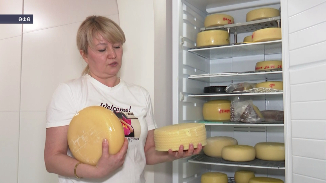 Өфөлә сыр етештереүсе цех асырға планлаштыра