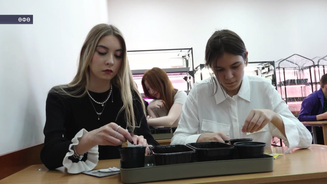 Өфө урман-техник техникумы студенттары яңы ысул ярҙамында үҫентеләр тәрбиәләй
