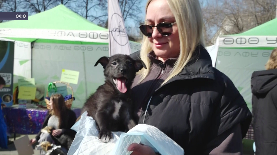 Өфөнөң Якутов паркында «Хужа эҙләйем» хәйриә акцияһы үтте