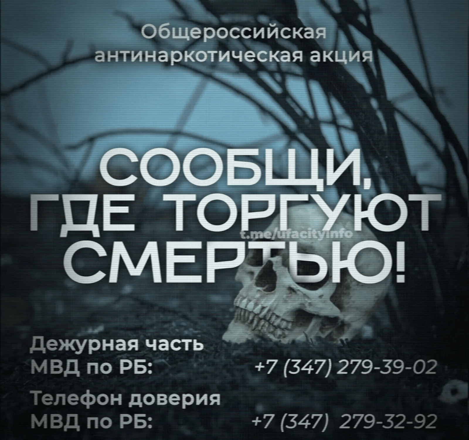 Башҡортостанда наркотиктарға ҡаршы акция уҙғарыла