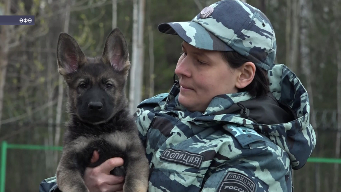 Эске эштәр органдары өсөн эттәр: әҙерлек, хеҙмәт һәм хаҡлы ял яҙмышы