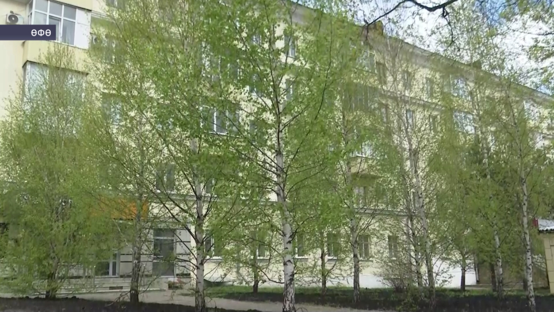 Аллергия менән сирләүселәргә һынау миҙгеле башланды