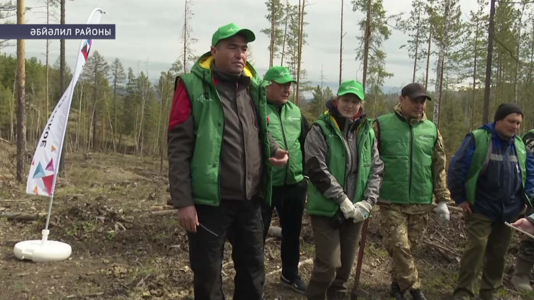 Әбйәлилдә «Хәтер баҡсаһы» акцияһы сиктәрендә ағастар ултыртылды
