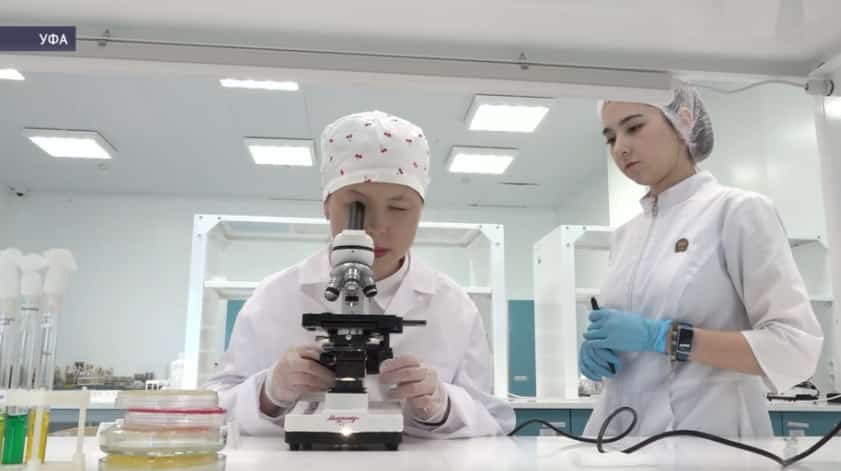 Школьница из Уфы изучила загрязнения на экранах мобильных телефонов