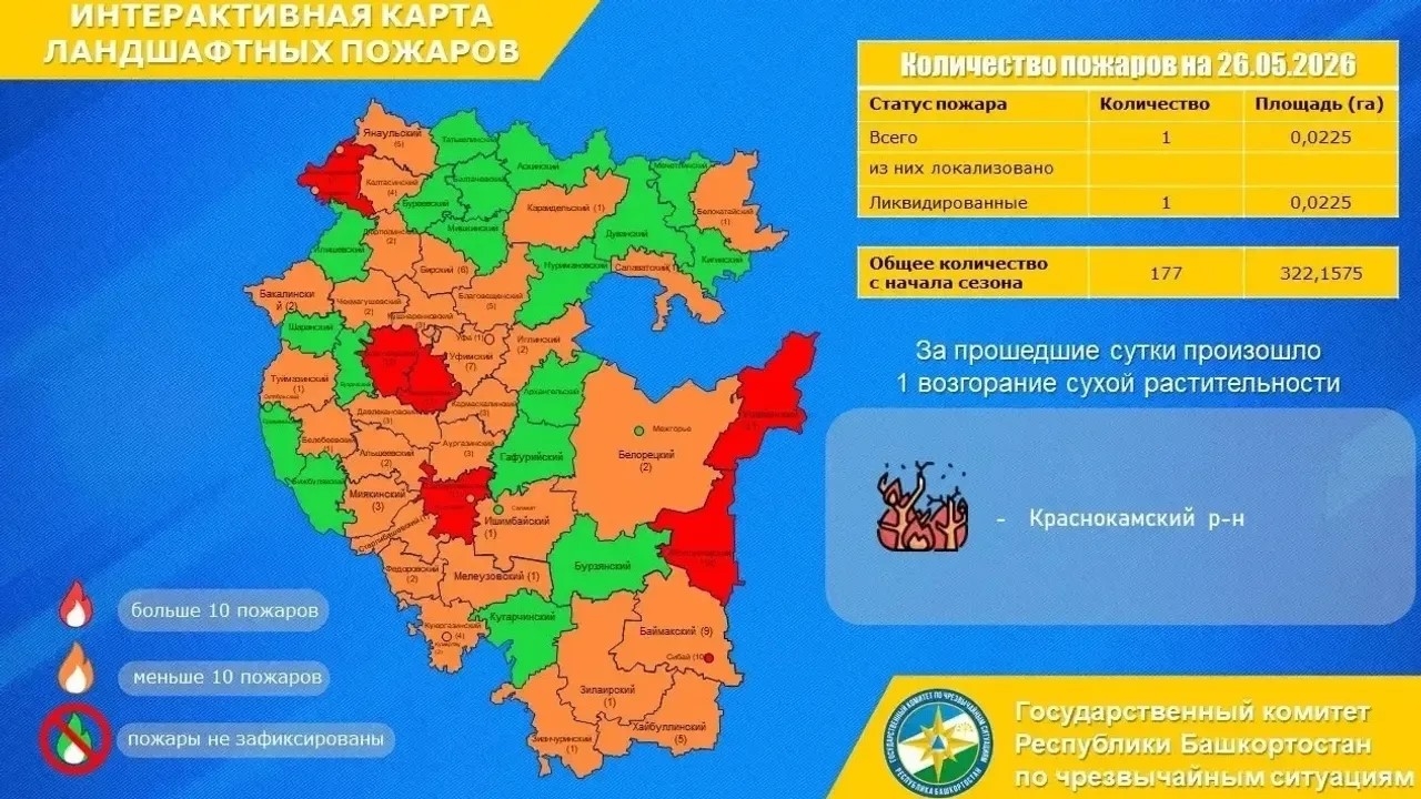 Краснокамала ҡоро үләнгә ут ҡапҡан