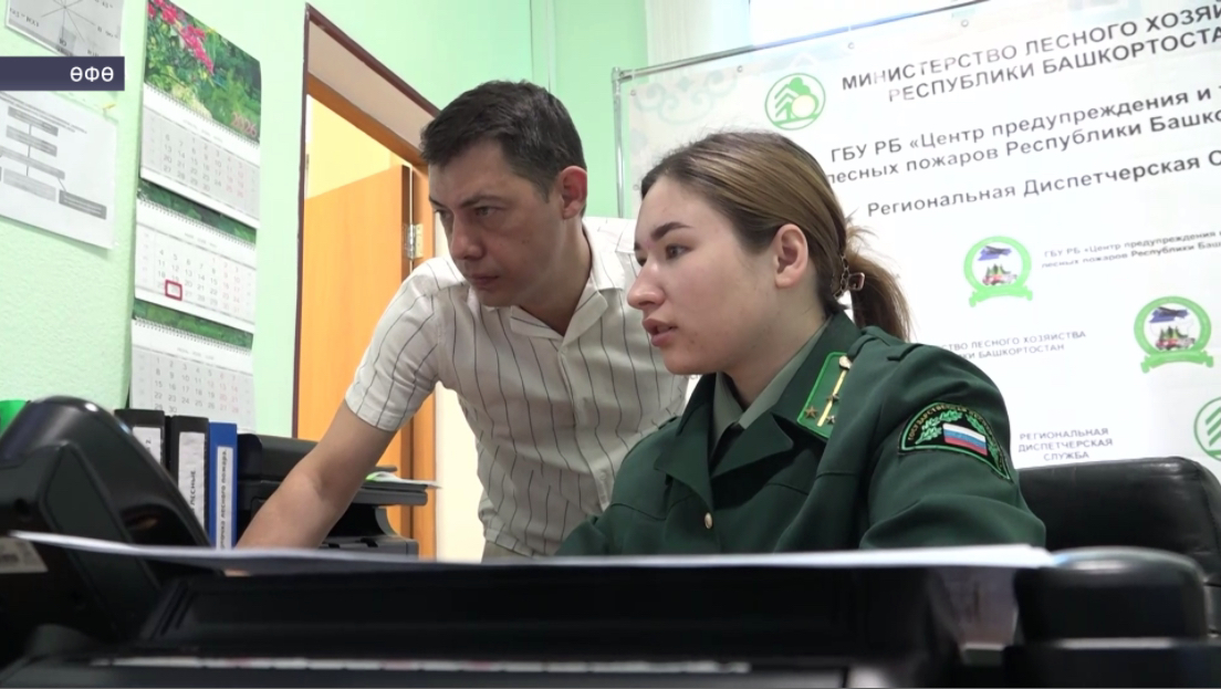 Урман янғындарын асыҡлауҙа яһалма зиһен ярҙам итә