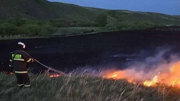 В Башкирии зафиксировали 4 случая горения сухой травы