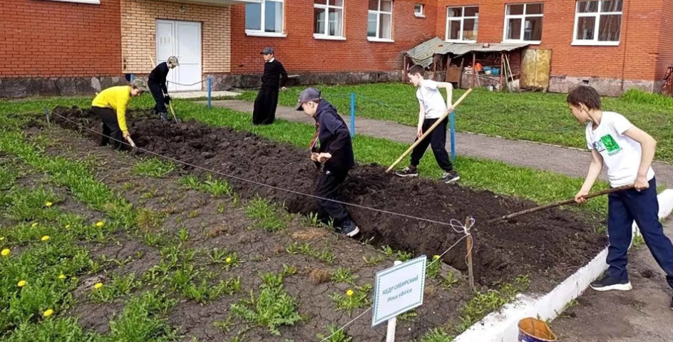 В школьном лесничестве села Новокулево начался посевной сезон