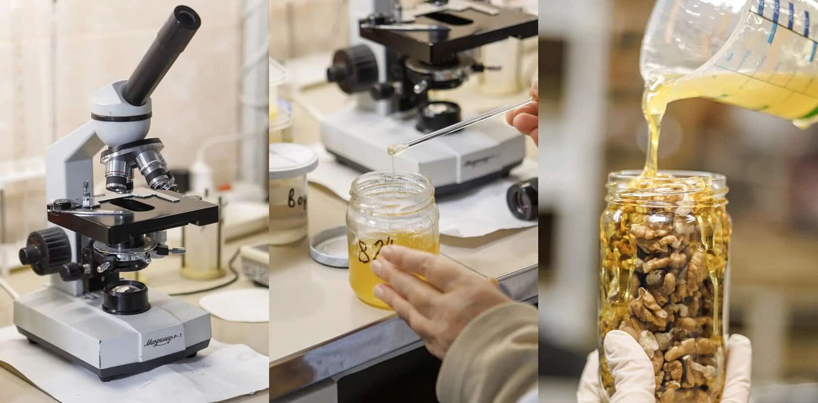 Өфөләге “Тәбиғәт һәм кеше” институтында бал лабораторияһы эшләй башланы