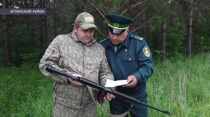 В Башкирии браконьерам, застрелившим лося, грозит штраф и уголовное дело