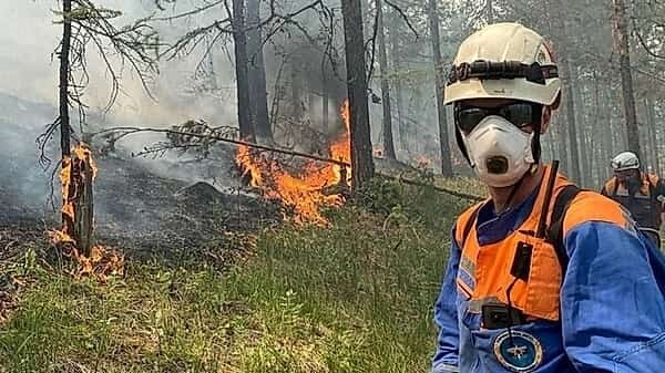 В Башкирии произошло 13 лесных пожаров с начала года