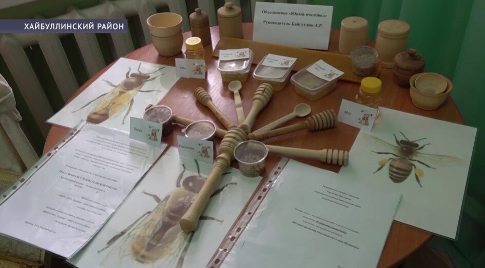 В селе Акъяр заработала экостанция