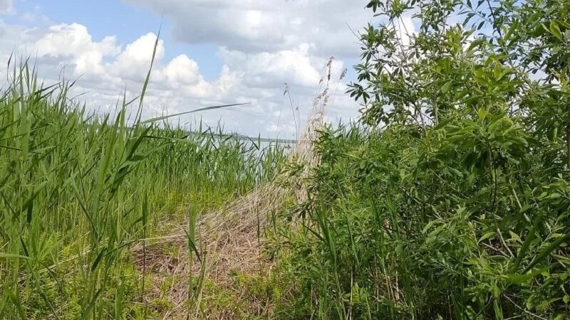 В Башкирии из озера достали тело 62-летнего рыбака