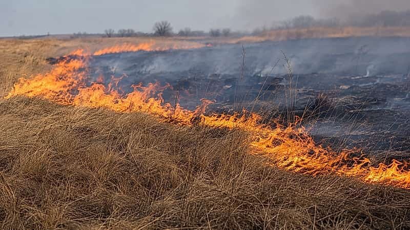В Башкирии за сутки потушили возгорание сухой травы