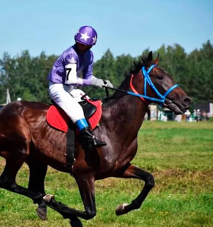 В Дюртюлинском районе пройдет конный фестиваль «Канатлы Ат»
