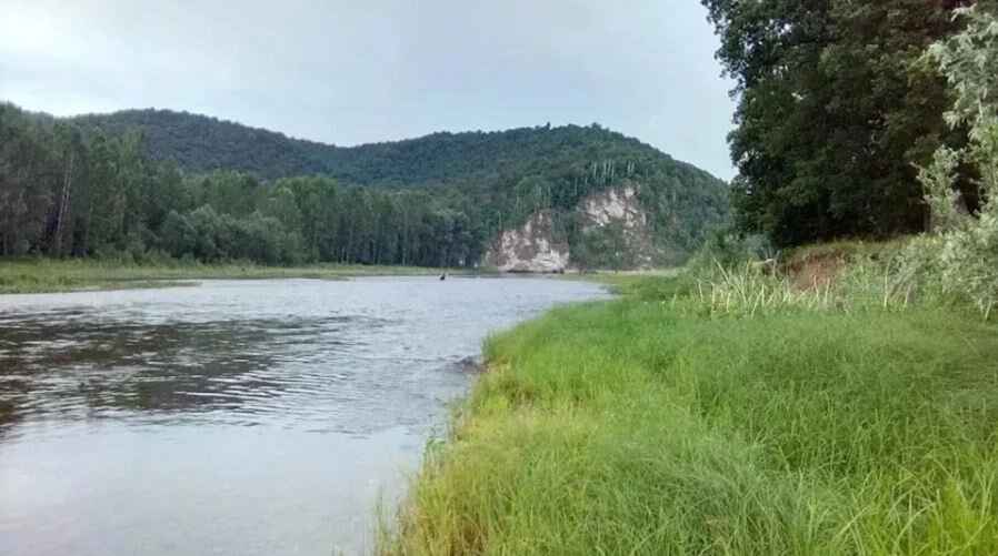 В Башкирии едва не утонули четверо детей