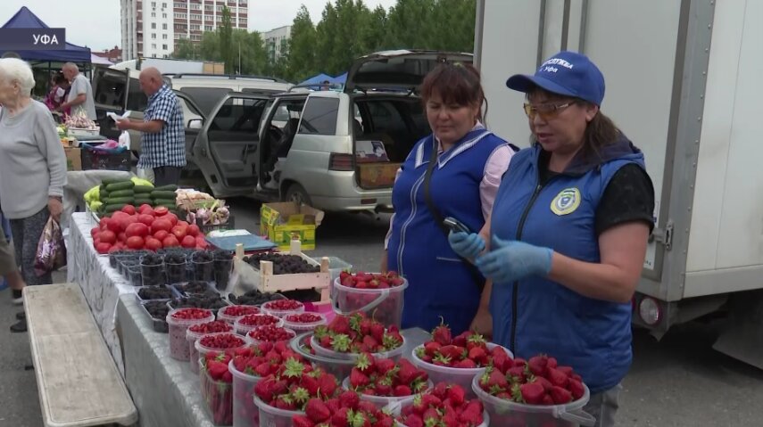 Аграрии Башкирии приехали в Уфу на сельхозярмарки
