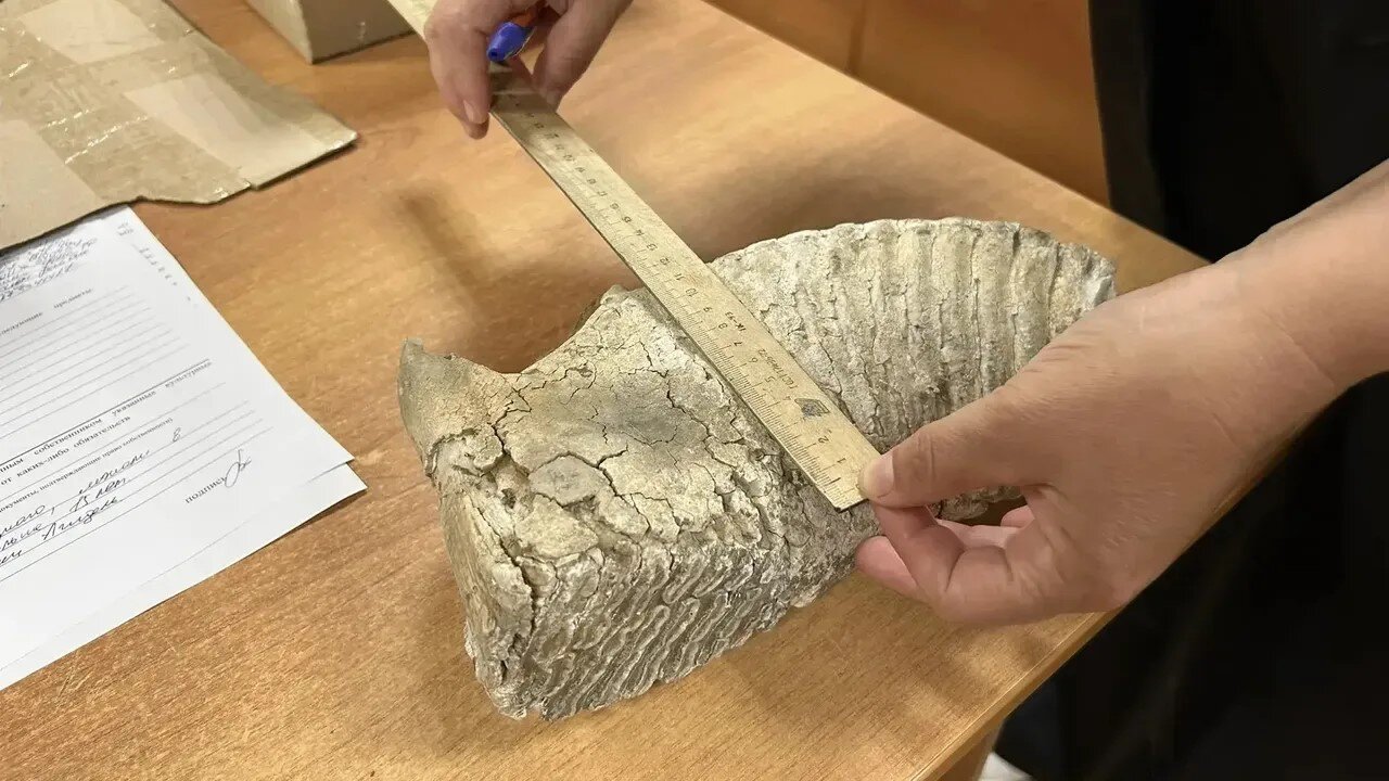 Башҡортостан Милли музейы яңы экспонат менән тулыланды