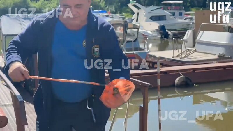 В Уфе спасли утку, застрявшую в решетке
