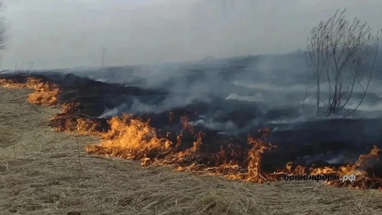 Республика райондарында янғын сығыу хәүефе бар