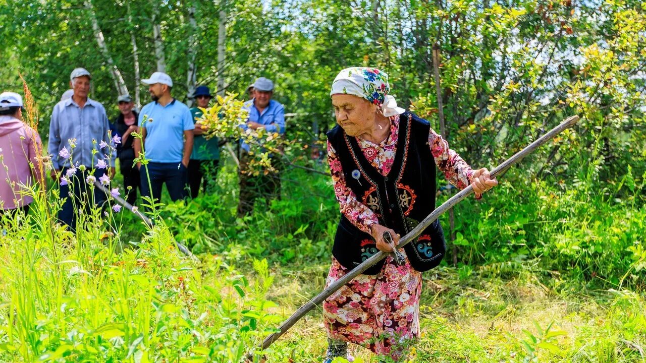 Башҡортостанда 91 йәшлек инәй бесән саба