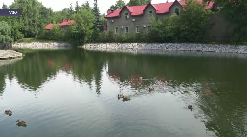 Жители Уфы добились очистки водоёма в саду Аксакова