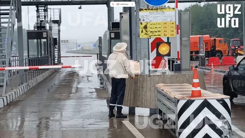 В Уфе пчелы пытались «проехать» без оплаты