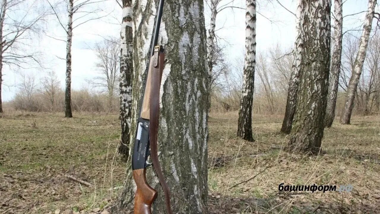 Һунарсылар йәрәбәлә ҡатнашыу өсөн 1 августан ғариза тапшыра ала