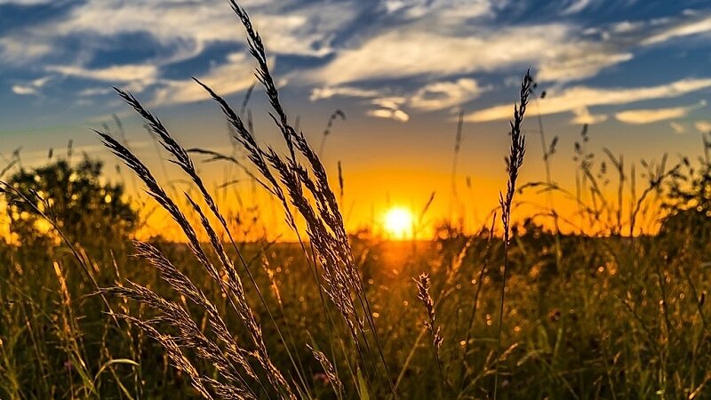 В Башкирию придет жара до +29°С