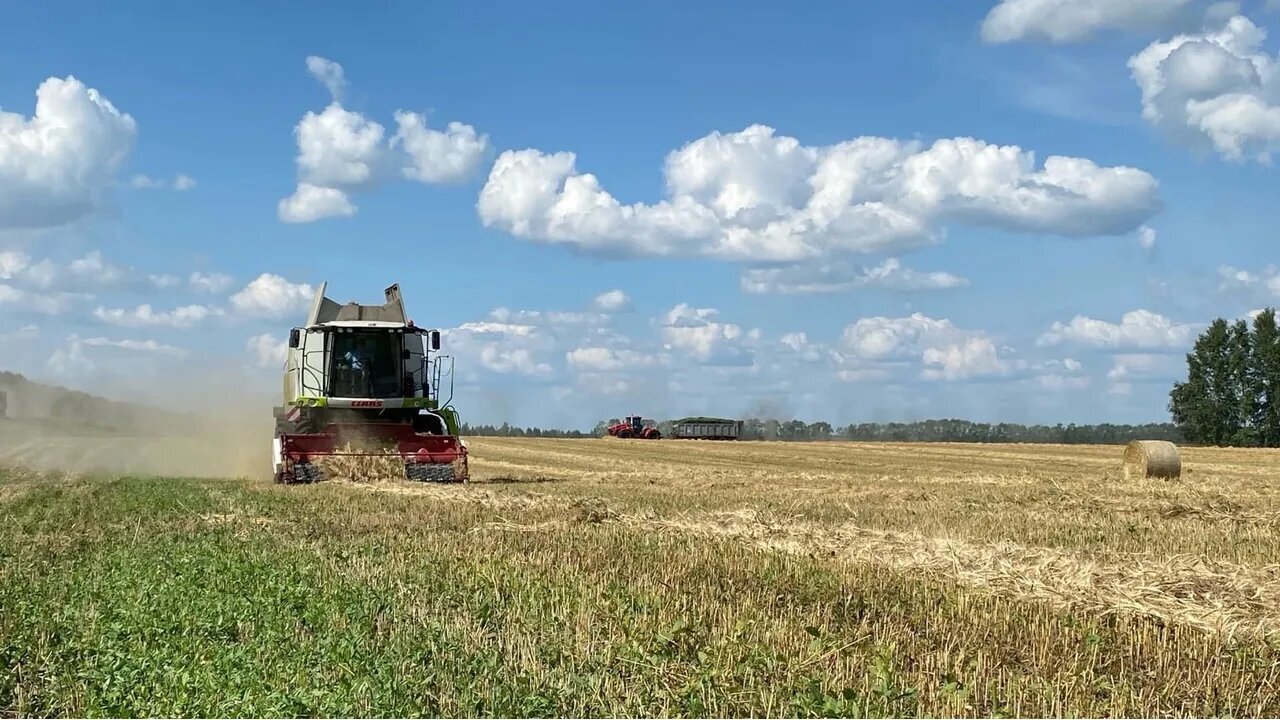 Башҡортостанда урып-йыйыу эштәренә яғыулыҡ етерлек