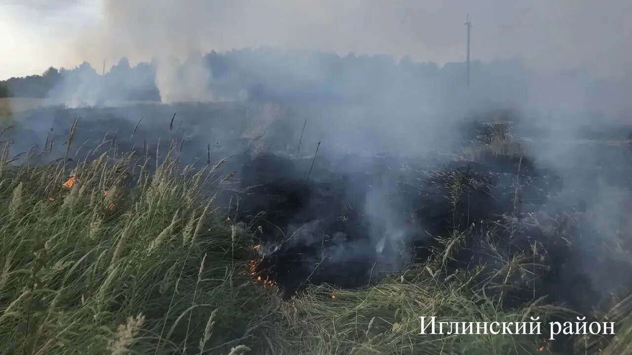Республика урмандарында хәл даими күҙәтелә