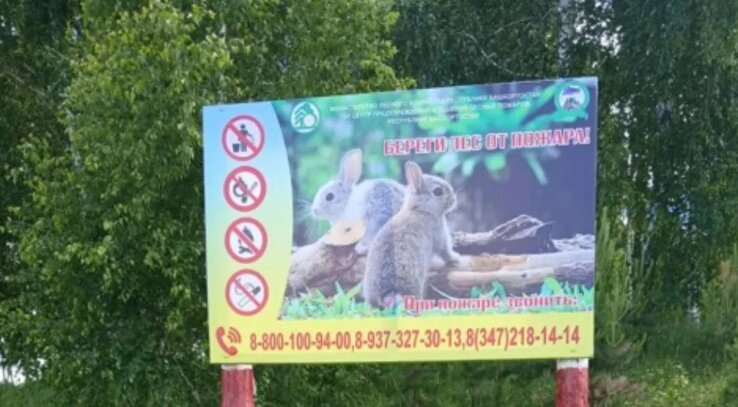 В Белебеевском районе проводят профилактику лесных пожаров