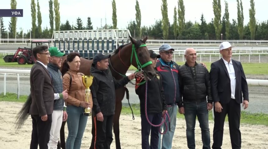 В Уфе состоялись соревнования по конному спорту
