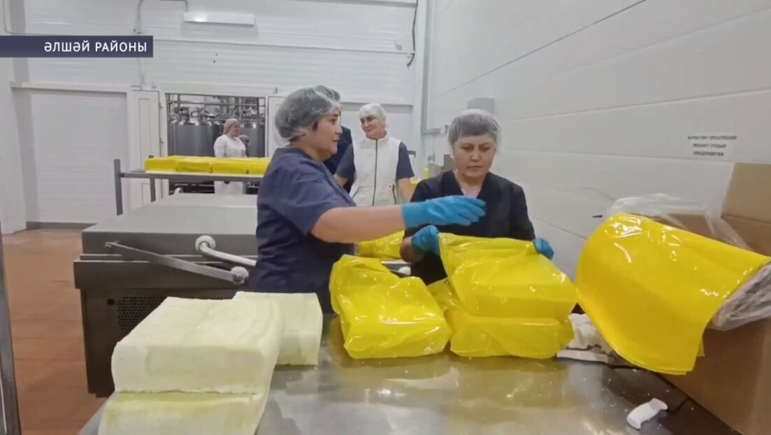 Әлшәй районы предприятиеһы «Башҡортостан продукты» проекты дипломанты булды