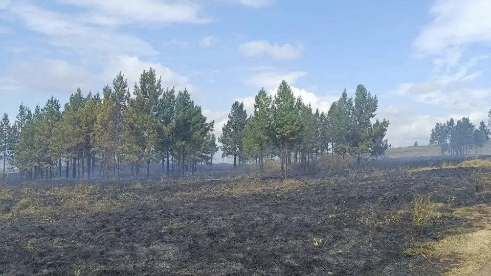 В двух районах Башкирии потушили горение сухой травы