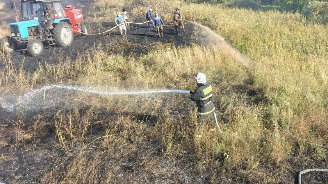 В Башкирии ликвидировали лесной пожар и загорание травы